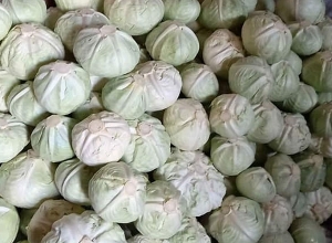 Զոլաքարի բնակիչը ցանկանում է իր մշակած 6 տոննա կաղամբը հատկացնել բանակին․ սպասում է արձագանքների