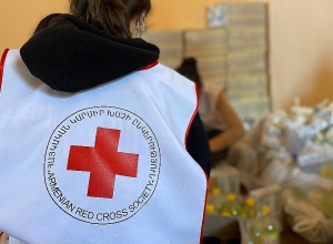 Ինչ ազդեցություն է ունեցել Քովիդ-19-ը տարեցների վրա