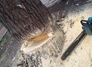 Բեռնատարը և հեռախոսները թողել, փախել էին