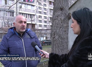 Երեւանում կեսդարյա թթենի են  հատել