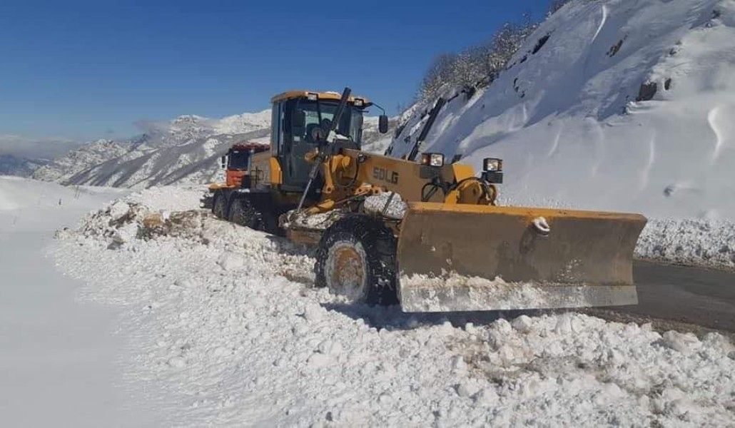 161408852_1710859395753792_7114999832686243907_n