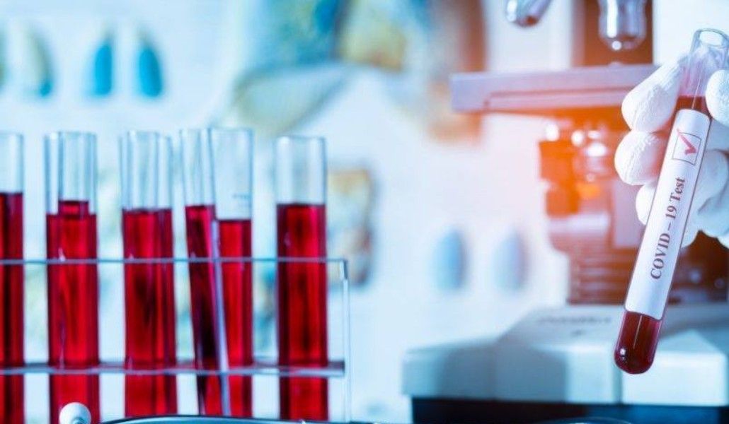 161578991_2835880466685176_3292572225743922743_o