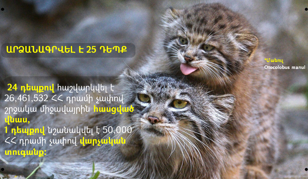 161055938_475231060555056_8800256523079679399_n