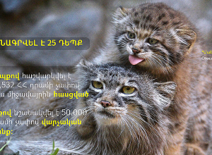 Հաշվարկվել է 26.461.532 ՀՀ դրամի չափով շրջակա միջավայրին հասցված վնաս