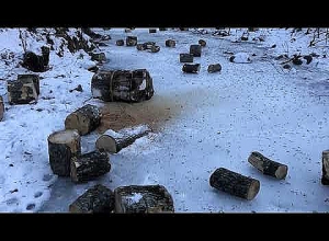 Կաշառքի մեղադրանքով անտառապահ է կալանավորվել