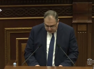Проект, по которому ВСС будет иметь право принимать нормативные правовые акты: Варданян
