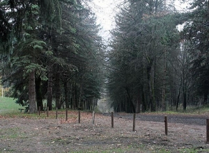 Գողություն Բերդի դենդրոպարկում և հողերի փչացում Մաստարայի տուֆերի հանքավայրի ընդերքօգտագործմամբ