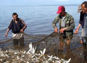 Մեկնարկում է Սևանա լճում արդյունագործական ձկնորսության որսաշրջանի 2-րդ փուլի հայտերի ընդունումը