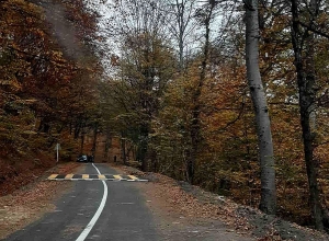 Գավառի, Ջերմուկի և Մեղրիի տարածաշրջաններում անձրև է տեղում