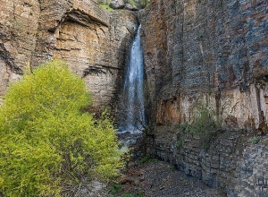 320 հազար եվրո CNF-ի կողմից՝ բնության հատուկ պահպանվող տարածքներին