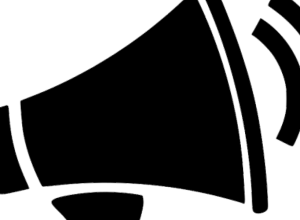 Քաղաքացիական հասարակության կազմակերպությունների հայտարարություն-կոչը