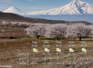 Դեղձենու ծաղկումն Արարատյան դաշտում սպասվում է ապրիլի 5-10-ն ընկած ժամանակահատվածում