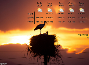 Температура воздуха постепенно повысится на 8-10 градусов