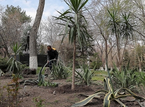 Բարեկարգվում է Ազգային ժողովի այգին