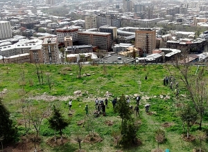 Ծառատունկ՝ Սարալանջում․ մոտ 600 ծառ կտնկվի