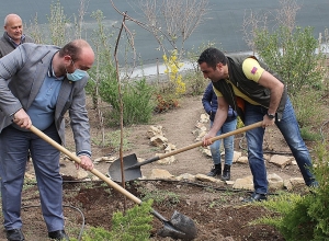 Տնկվեցին  «10 միլիոն ծառ» նախաձեռնության  առաջին 1000 ծառերը