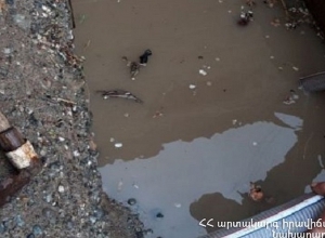 Փրկարարները Բամբակաշատի տներից մեկի նկուղից մոտ 8 տոննա անձրևաջուր են հեռացրել