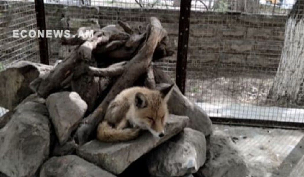 173507824_2729901587258520_6682565740841264531_n