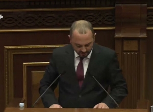 «Депутаты с таким уровнем пришли и говорили о других институтах; мне было стыдно за вопросы, адресованные премьер-министру»