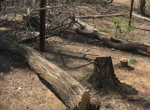 Արաբկիրի ղեկավարը դիմել է դատախազություն՝ Բաղրամյան 79ա հասցեի սեփականաշնորհման հիմքերի օրինականությունը ուսումնասիրելու նպատակով