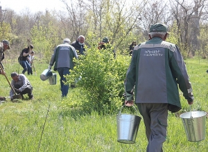 «Հաղթանակ» զբոսայգու «կանաչ» բնակիչները նորից ավելացան