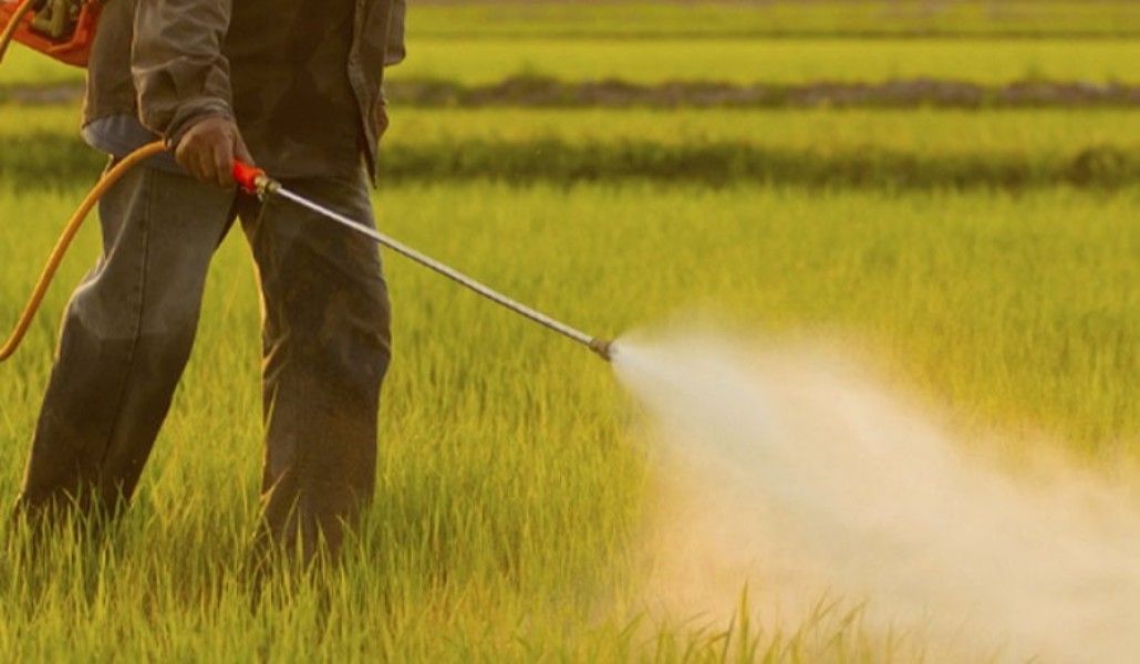 175970377_2924699567771153_2660602327020829405_n