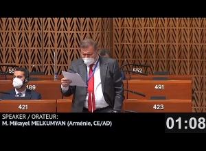 Что бы вы сделали, если бы эти военнопленные были французами или немцами? Мелкумян депутатам ПАСЕ