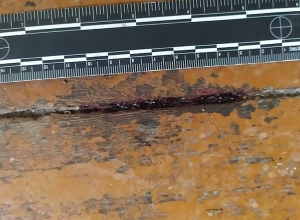 Դանակահարել էր ընկերոջը․ Մասիսի ոստիկանների բացահայտումը