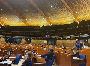 ԵԽԽՎ մշտադիտարկման կոմիտեի հայտարարությունն ամբողջությամբ