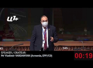 Выступление Владимира Варданяна на ПАСЕ