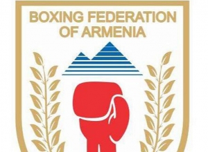 Նախագահի բոլոր թեկնածուները չեն համապատասխանում կանոնադրությանը. ՀՀ բռնցքամարտի ֆեդերացիա