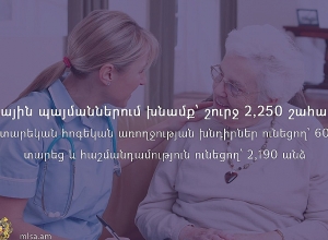 Տնային պայմաններում խնամք՝ շուրջ 2,250 շահառուի