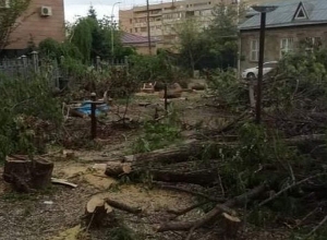 Պարզաբանում՝ Բաղրամյան 79ա հասցեում իրականացվող ծառահատումների վերաբերյալ