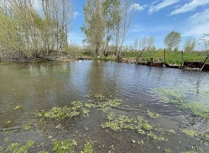 12,000 կգ աղբ և 70 կգ վերամշակման ենթակա թափոն՝  ափամերձ տարածքներից