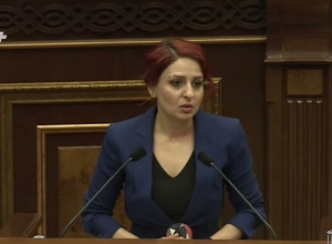 «И наши власти, и Азербайджан начали кампанию против Омбудсмена, когда  он начал говорить о проблемах  Сюника»