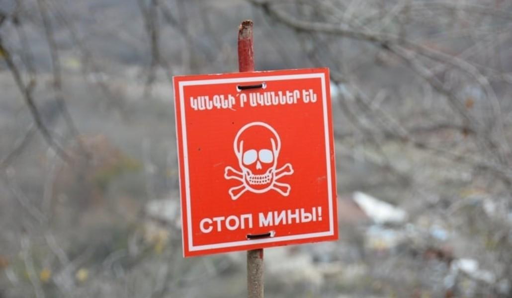 182738555_4357583117609463_4901466627174362059_n