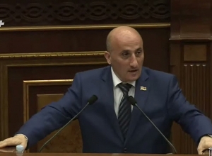 Գեղամ Հովեյանն ընտրվեց հաշվեքննիչ պալատի անդամ