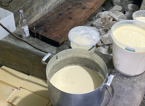 Սանիտարահիգիենիկ նորմեր են խախտել