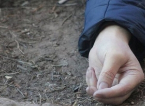 Մարտունի-Ստեփանակերտ մայրուղու հարակից դաշտում դի է հայտնաբերվել