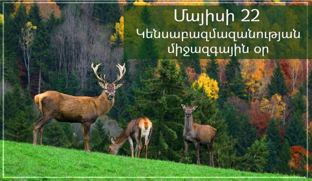 189908877_2920528994865024_2121498765749829007_n