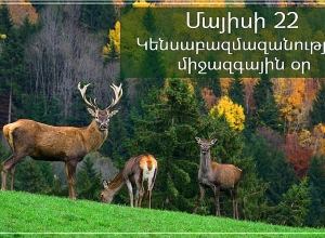 Այսօր նշվում է Կենսաբազմազանության միջազգային օրը