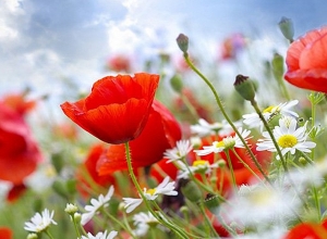 Վաղվանից ջերմաստիճանը կբարձրանա 7-9 աստիճանով