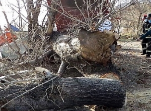 Երևանում ծառն ընկել և փակել է ճանապարհի երթևեկելի գոտին