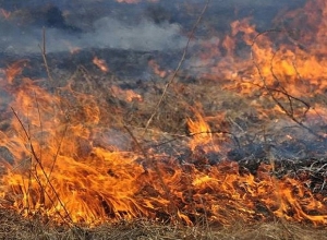 В селе Ерасх, в нейтральной зоне армяно-азербайджанской границы, вспыхнул пожар