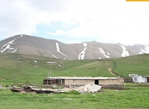 Ադրբեջանական զինծառայողները փորձել են գողանալ Վերին Շորժայի արոտավայրի հովվի շուրջ 20 ձիերը․ ՄԻՊ