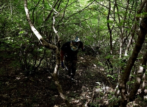 Работы по поиску останков продолжаются в Джракане и Варанде