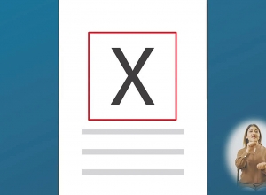 Ինչպես են ընտրելու չտեսնող ընտրողները