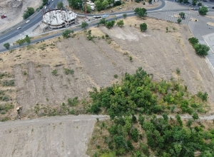 Ծիծեռնակաբերդի համայնքապատկան անտառային գոտին վերականգնվում է