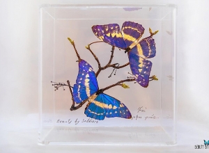 «Գեղեցկություն զինվորներից»՝ նվիրված Պարույր Սևակի մահվան 50 ամյակին