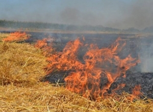 Մոտ 3 տոննա անասնակեր է այրվել